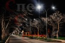 Светодиодное уличное ограждение "Звездные нити" золотые звезды на красном